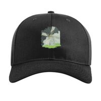 Pro Twill Snapback Thumbnail