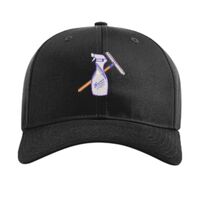 Pro Twill Snapback Thumbnail