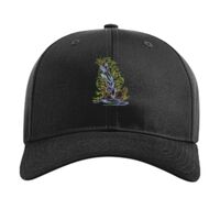 Pro Twill Snapback Thumbnail