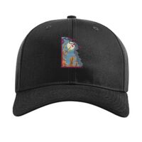 Pro Twill Snapback Thumbnail