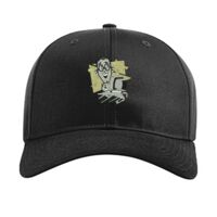 Pro Twill Snapback Thumbnail