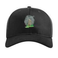 Pro Twill Snapback Thumbnail