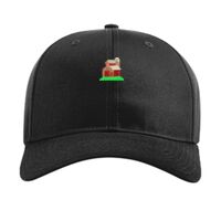 Pro Twill Snapback Thumbnail