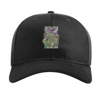 Pro Twill Snapback Thumbnail