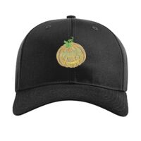 Pro Twill Snapback Thumbnail