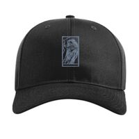 Pro Twill Snapback Thumbnail