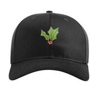 Pro Twill Snapback Thumbnail