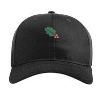 Pro Twill Snapback Thumbnail