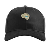 Pro Twill Snapback Thumbnail