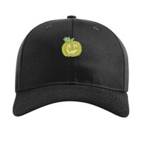 Pro Twill Snapback Thumbnail