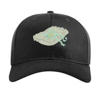 Pro Twill Snapback Thumbnail