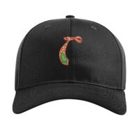 Pro Twill Snapback Thumbnail