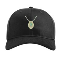Pro Twill Snapback Thumbnail