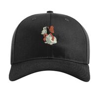 Pro Twill Snapback Thumbnail