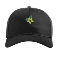 Pro Twill Snapback Thumbnail