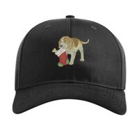 Pro Twill Snapback Thumbnail
