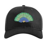 Pro Twill Snapback Thumbnail