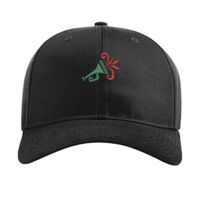 Pro Twill Snapback Thumbnail