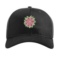 Pro Twill Snapback Thumbnail