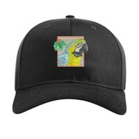 Pro Twill Snapback Thumbnail