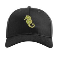 Pro Twill Snapback Thumbnail