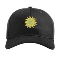 Pro Twill Snapback Thumbnail