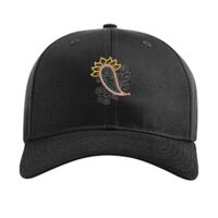 Pro Twill Snapback Thumbnail