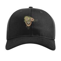 Pro Twill Snapback Thumbnail