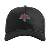 Pro Twill Snapback Thumbnail