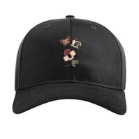 Pro Twill Snapback Thumbnail