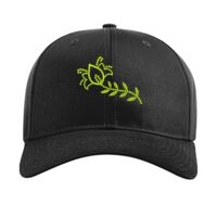 Pro Twill Snapback Thumbnail