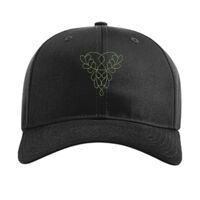 Pro Twill Snapback Thumbnail