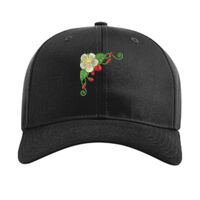 Pro Twill Snapback Thumbnail