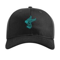 Pro Twill Snapback Thumbnail