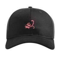 Pro Twill Snapback Thumbnail