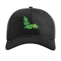 Pro Twill Snapback Thumbnail