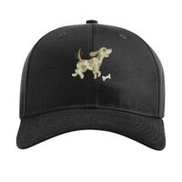 Pro Twill Snapback Thumbnail