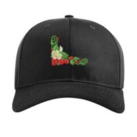 Pro Twill Snapback Thumbnail