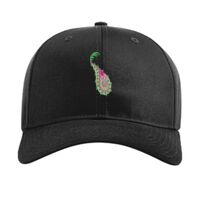 Pro Twill Snapback Thumbnail