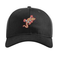 Pro Twill Snapback Thumbnail