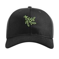 Pro Twill Snapback Thumbnail