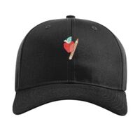 Pro Twill Snapback Thumbnail