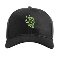 Pro Twill Snapback Thumbnail