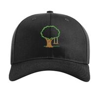 Pro Twill Snapback Thumbnail