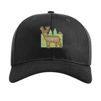 Pro Twill Snapback Thumbnail