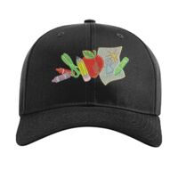 Pro Twill Snapback Thumbnail