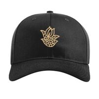 Pro Twill Snapback Thumbnail