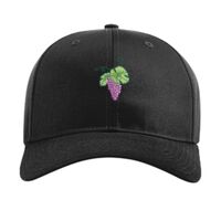 Pro Twill Snapback Thumbnail