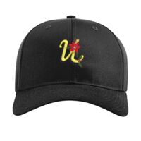 Pro Twill Snapback Thumbnail