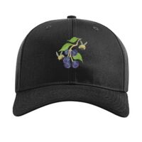 Pro Twill Snapback Thumbnail